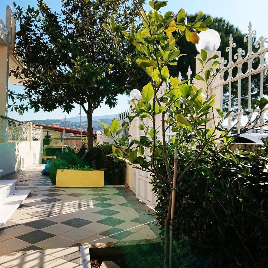 Villa Filoxenia All Seasons, Near Airport, Sea, Athens Agia Marina  Экстерьер фото