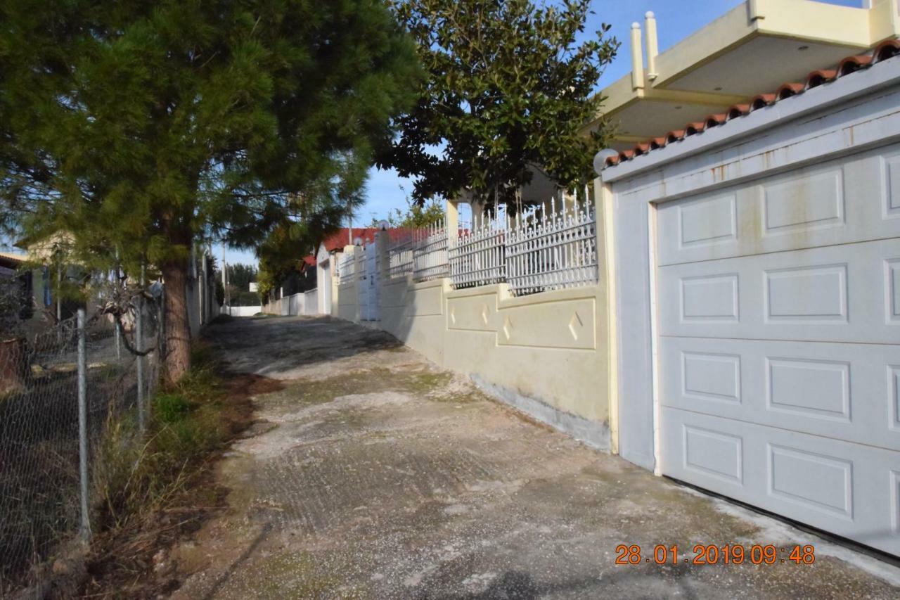 Villa Filoxenia All Seasons, Near Airport, Sea, Athens Agia Marina  Экстерьер фото