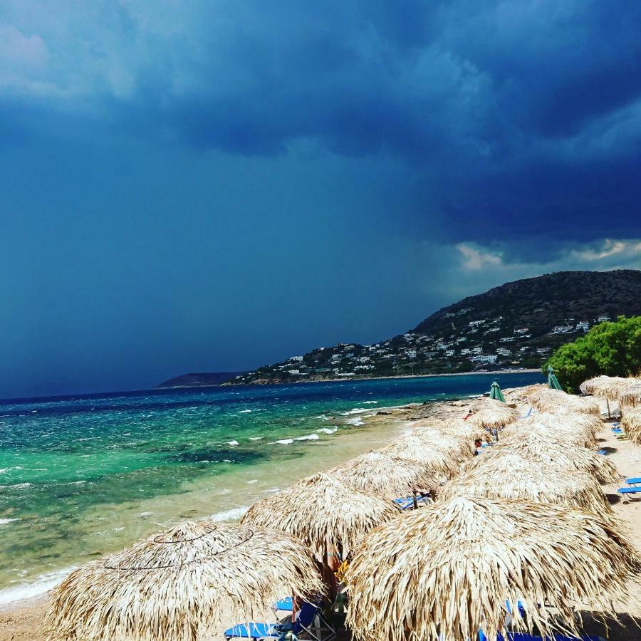 Villa Filoxenia All Seasons, Near Airport, Sea, Athens Agia Marina  Экстерьер фото