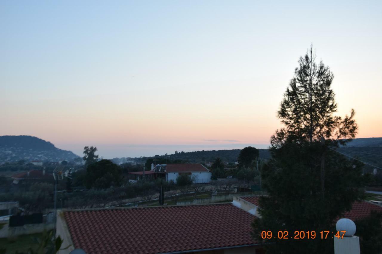 Villa Filoxenia All Seasons, Near Airport, Sea, Athens Agia Marina  Экстерьер фото